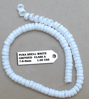Puka Shell White - Grinded Class A