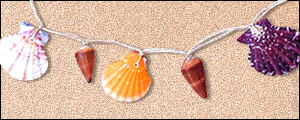 Assorted Shell Necklace
